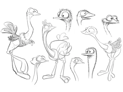 Ostrich Character Designs animation bird birds character design concept conceptual ostrich sketch