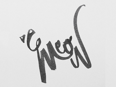 Type Kitty cat hand hand lettering lettering meow type