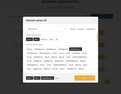 💻 Domain Registration Modal domain modal