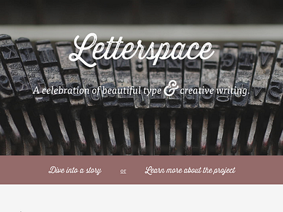 Letterspace v2 logo type typography web web design website writing