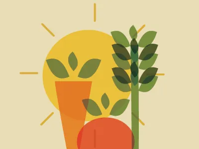 New Harvest of Peace Colors color