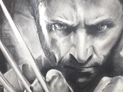 Wolverine drawing graphite illustration pencil