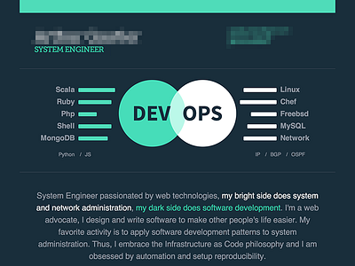 Curriculum: web view css curriculum cv dataviz flat html responsive resume