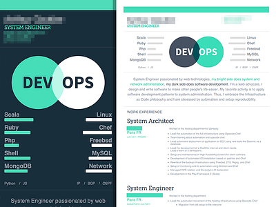 Curriculum: web, mobile and print css curriculum cv dataviz flat html responsive resume