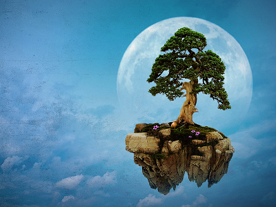 Bonsai Desktop Wallpaper bonsai design graphic manipulation photo photoshop tree