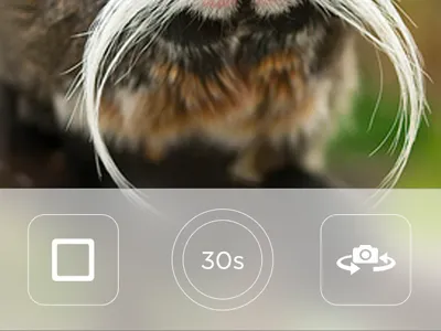 iOS7 Inspired Camera Concept camera ios ios7 ui