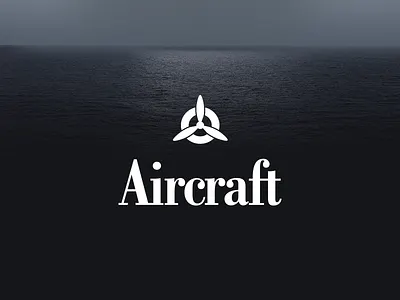 Aircraft brand branding design logo typography web