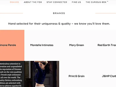 The Curious Fox fox type web