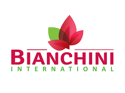 Bianchini logotype identity logo logotype