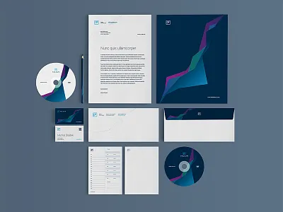 Falcon CI Set brand brandbook design falcon kosma logo