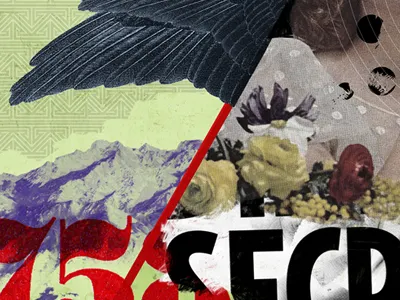 Illustration detail collage illustration pattern typography