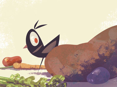 Bird with vegetables birdsinplaces illustration vegetables