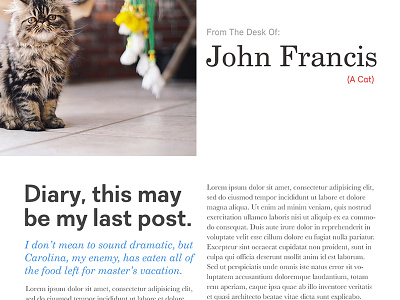 A blog for a very sophisticated cat cat clean web design