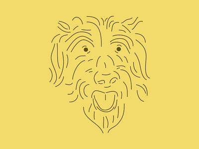 What is this? dribbble lines picture