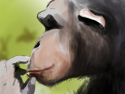 20 min sketch, pt 2 animals color digital sketch illustration intuos sketch tablet wacom warm up