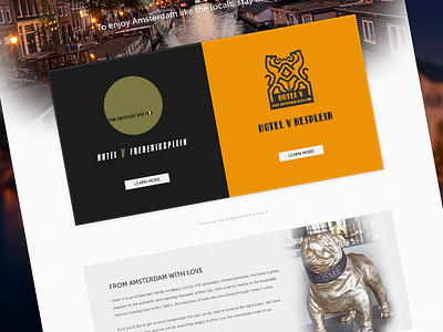 Portal Website design layout portal website