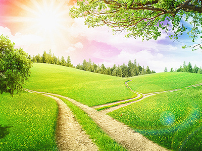 Landscape / monday Morning green illustration landscape road sun tree way wood