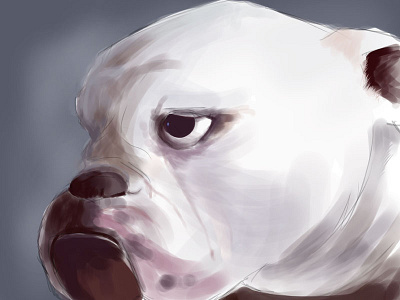 20 minute sketch, pt 3 color design digital illustration dog drawing illustration speed sketch