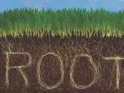 Roots dirt flatirons flatirons community church grass roots series