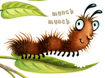 Caterpillar Drib caterpillar leaf munch woolybear