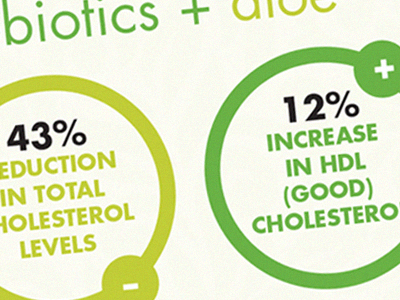 Probiotics Infographic design futura graphic design infographic probiotics typography