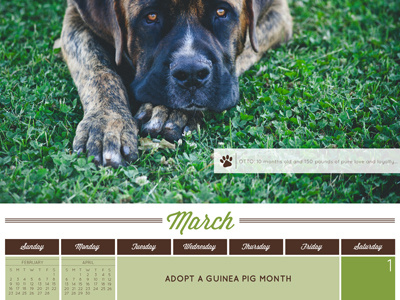 Humane Society of Souther Arizona 2014 Calendar - March Detail calendar dogs