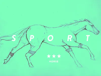 Sport Horse icons illustration