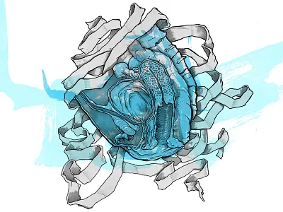 Vagina drawing illustration vagina