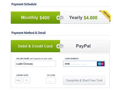 Payment Page - Last Step billing buttons checkout credit card design ecommerce payment switcher ui