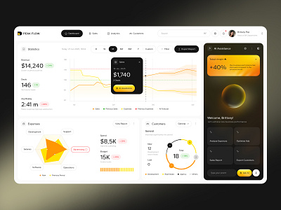 Peak Flow – Smart Business Dashboard UI business charts dashboardui product design saas sales ui user interface uxui web design