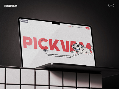 PickVamp – Elevating Templates & Design Services 3d animation branding graphic design landing logo motion graphics ui ux ui web design web3