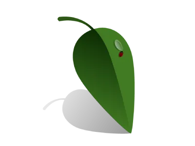 Leaf fresh green lady bug leaf nature