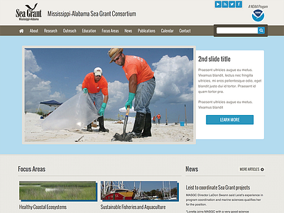 Sea Grant homepage ui ux website
