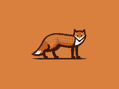 Fox fox illustration