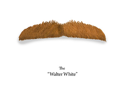 The Hairy Face of Hollywood - The Walter White collection illustration photoshop vector