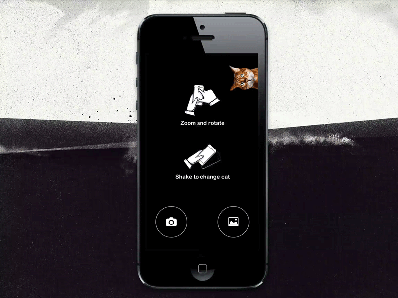grumpify: Welcome Screen [GIF] animation camera cat cats gif grumpify grumpy image ios iphone psd