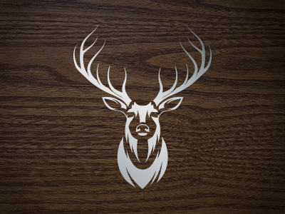 Stag illustration stag