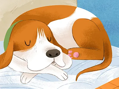 Hound Dog animals dog illustration