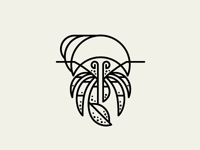 Hermit crab hermit crab illustration