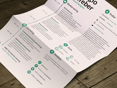 Resume a4 cv paper resume