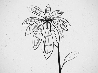 Sketch for a Hey Rosetta! T-shirt idea hand drawn hey rosetta! illustration plant t shirt typography