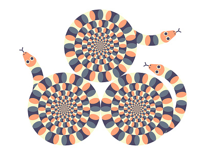 Ivy Press Optical Illusion illustration optical illusion snake