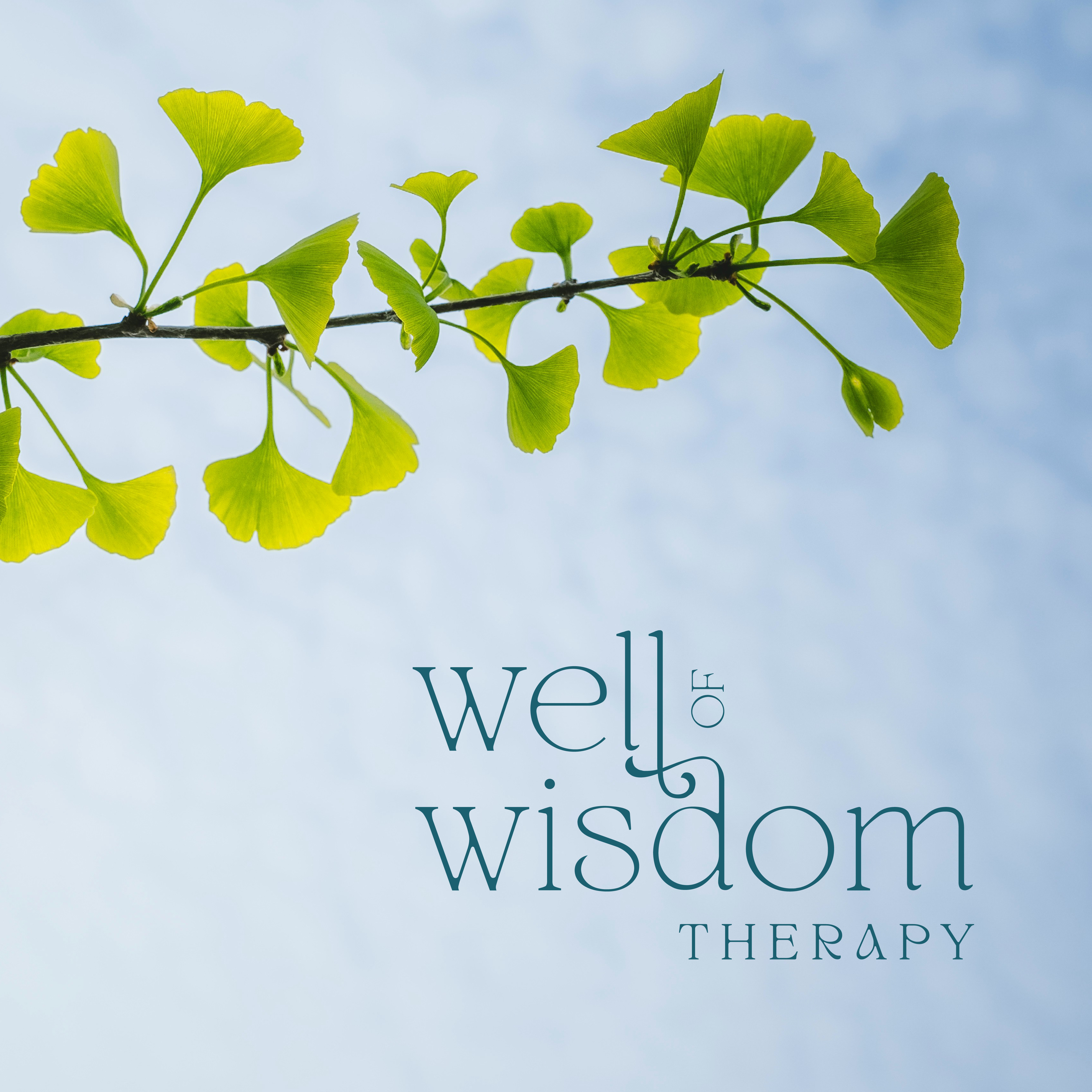 Well of Wisdom Therapy brand design branding design graphic design logo design website design