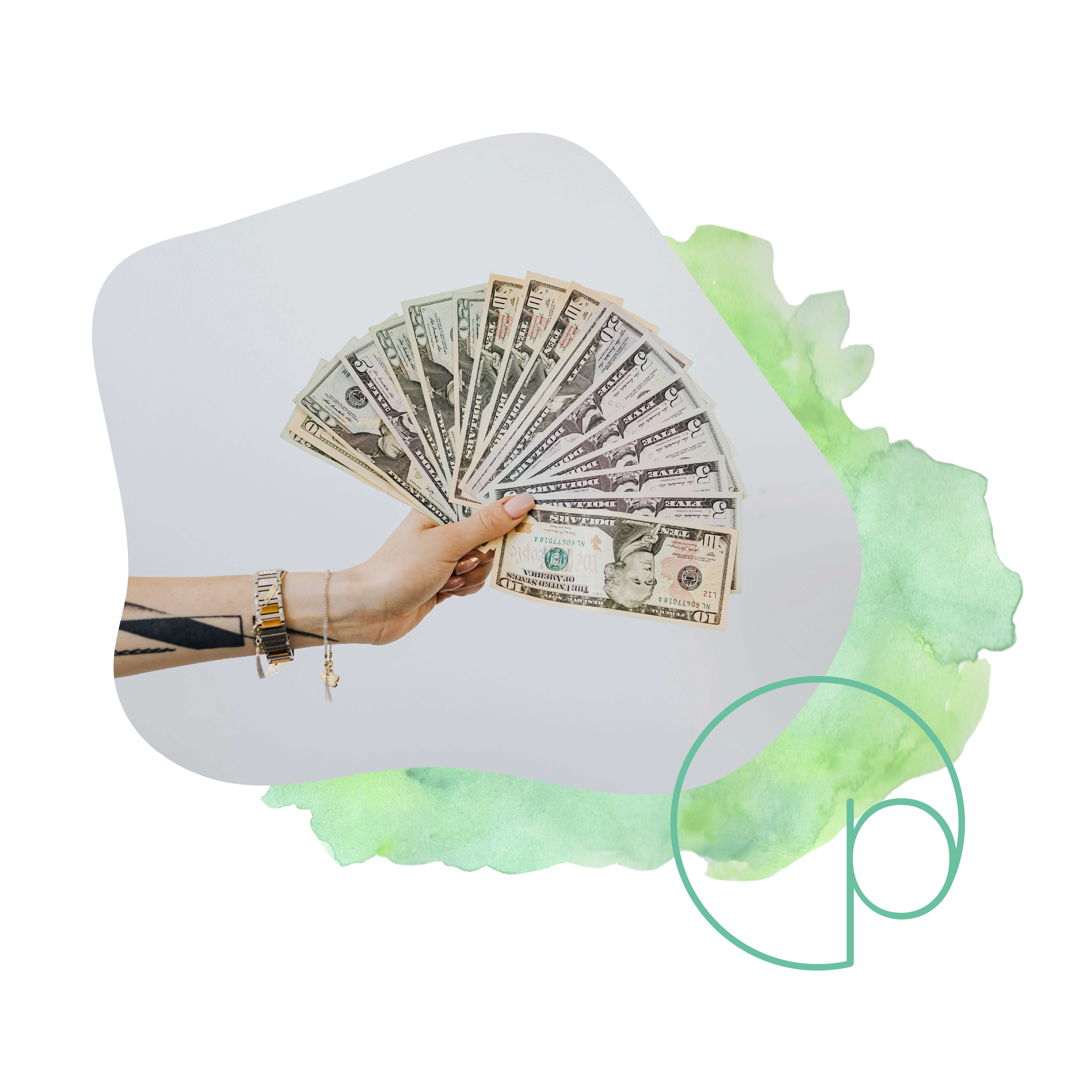 Private Practice Money brand design branding design graphic design logo design website design