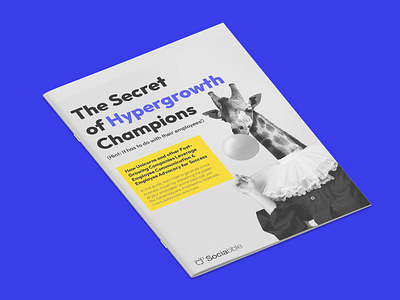 eBook - The Secret of Hypergrowth Champions branding ebook graphic design typography