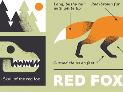 Fox Grotesque fox skull