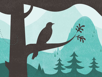 Forest Landscape bird forest illustration landscape th=sum the sum vancouver