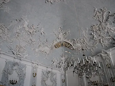 Bat dorota orlof photography