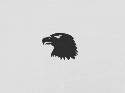 Eagle americana bold branding eagle fieldline flat illustration logo modern tactical