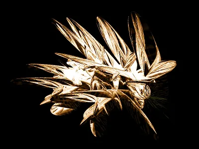 3d bug thing 3d bug thing